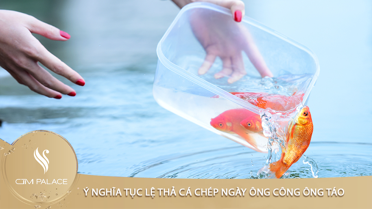 Ý Nghĩa Tục Lệ Thả Cá Chép Ngày Ông Công Ông Táo